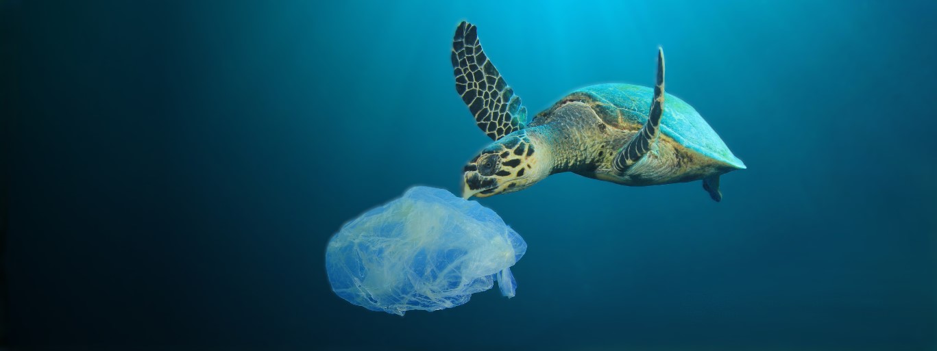 akkotex immagine che rappresenta la sostenibilità